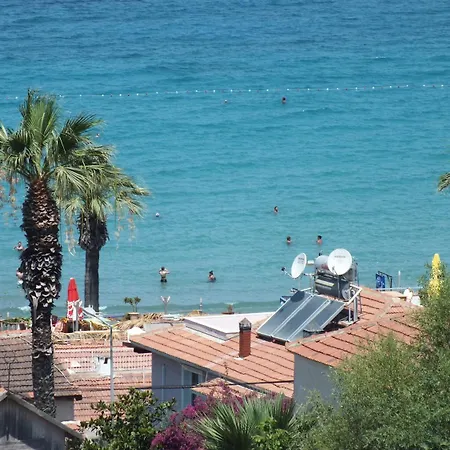 Blue Sea & 2*